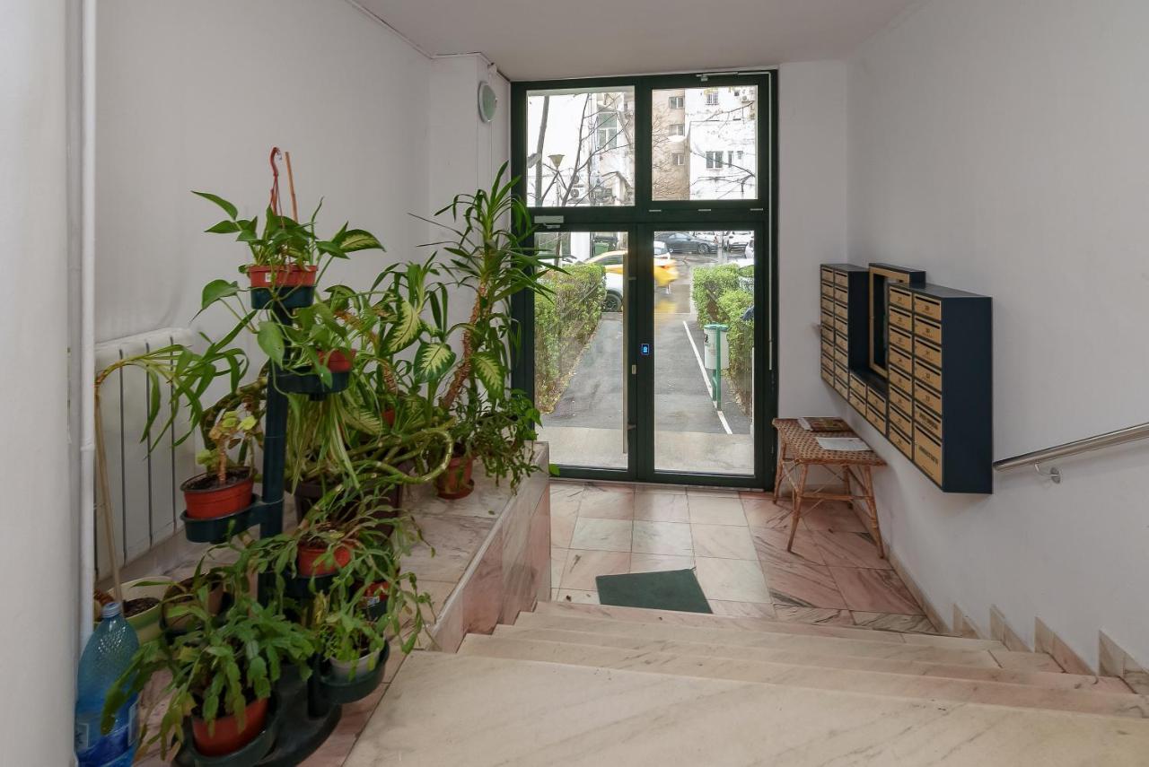 Apartament Vlad House Burebista Alba Iulia New Bukareszt Zewnętrze zdjęcie